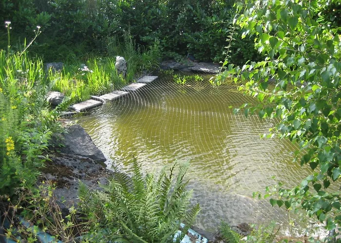 Couette-café D'hotes Du Tailfer Lustin